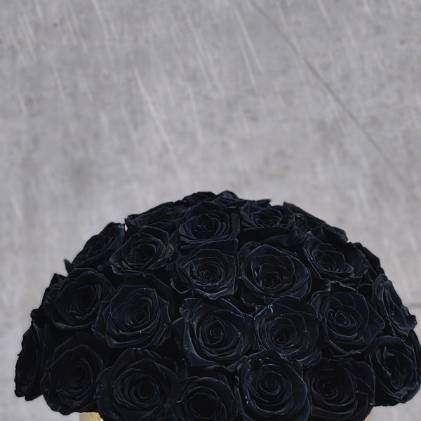 14.2 collection no19