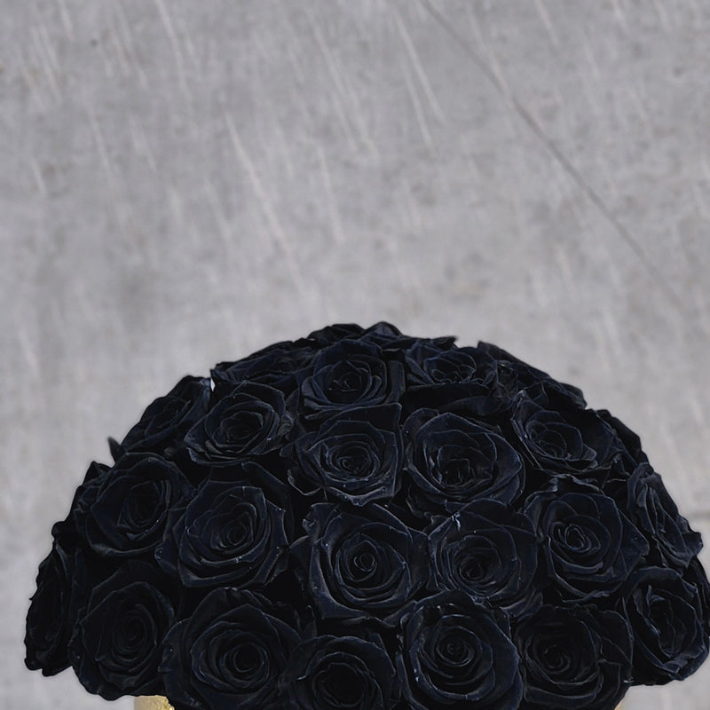 14.2 collection no19
