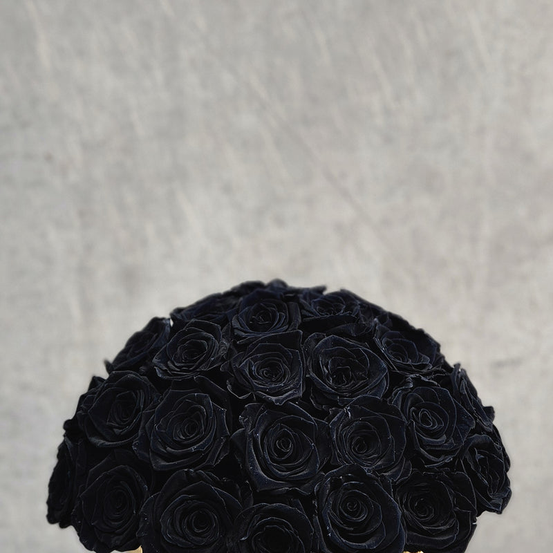14.2 collection no19